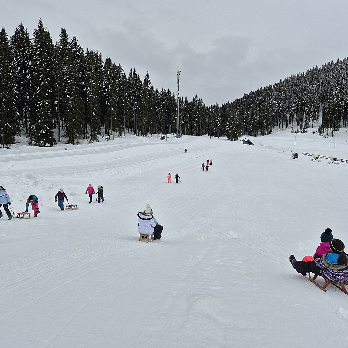 Zimska pravljica na Pokljuki 