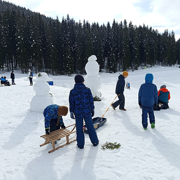 Zimska pravljica na Pokljuki 