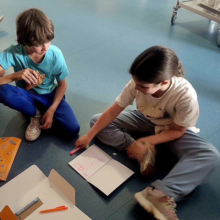 Uspeh tretješolcev na državnem tekmovanju iz matematike