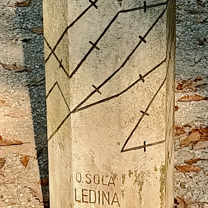 Pot do ledinskega kamna na Golovcu