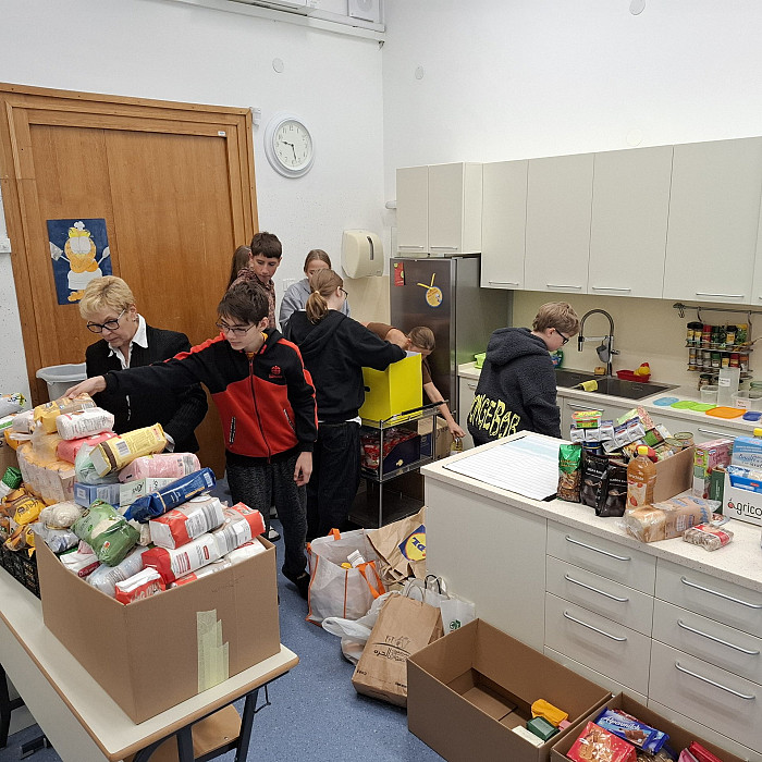 Humanitarna zbiralna akcija za Zvezo Anite Ogulin in ZPM Ljubljana Moste-Polje