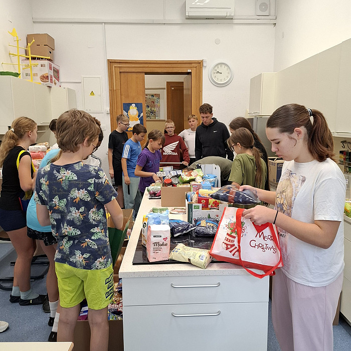 Humanitarna zbiralna akcija za Zvezo Anite Ogulin in ZPM Ljubljana Moste-Polje