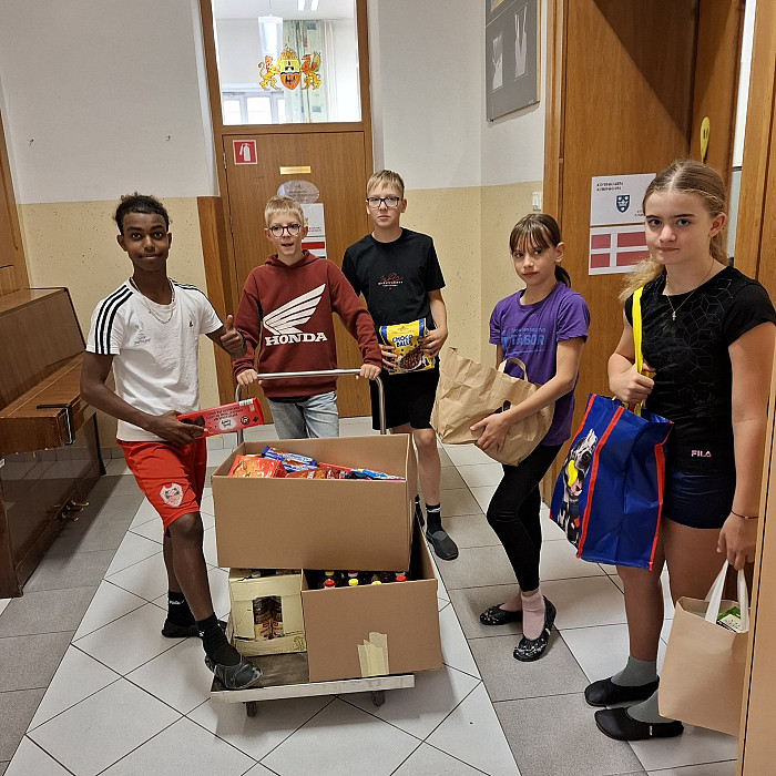 Humanitarna zbiralna akcija za Zvezo Anite Ogulin in ZPM Ljubljana Moste-Polje